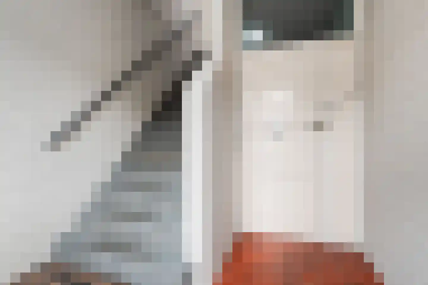 Kamperfoeliestraat 211 Den Haag thumbnail 43