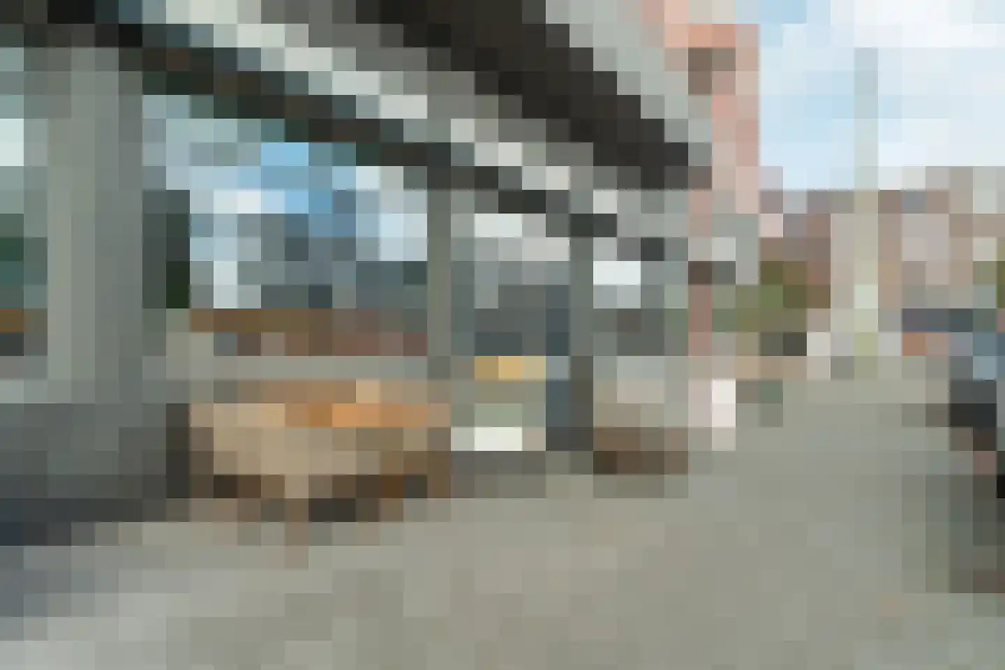 Kamperfoeliestraat 211 Den Haag thumbnail 50
