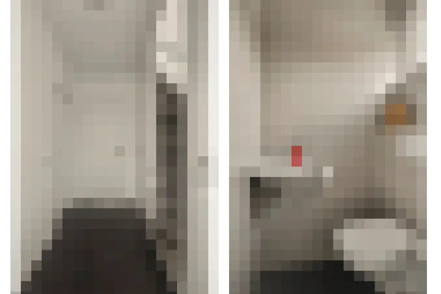 Kamperfoeliestraat 22 Drunen thumbnail 10