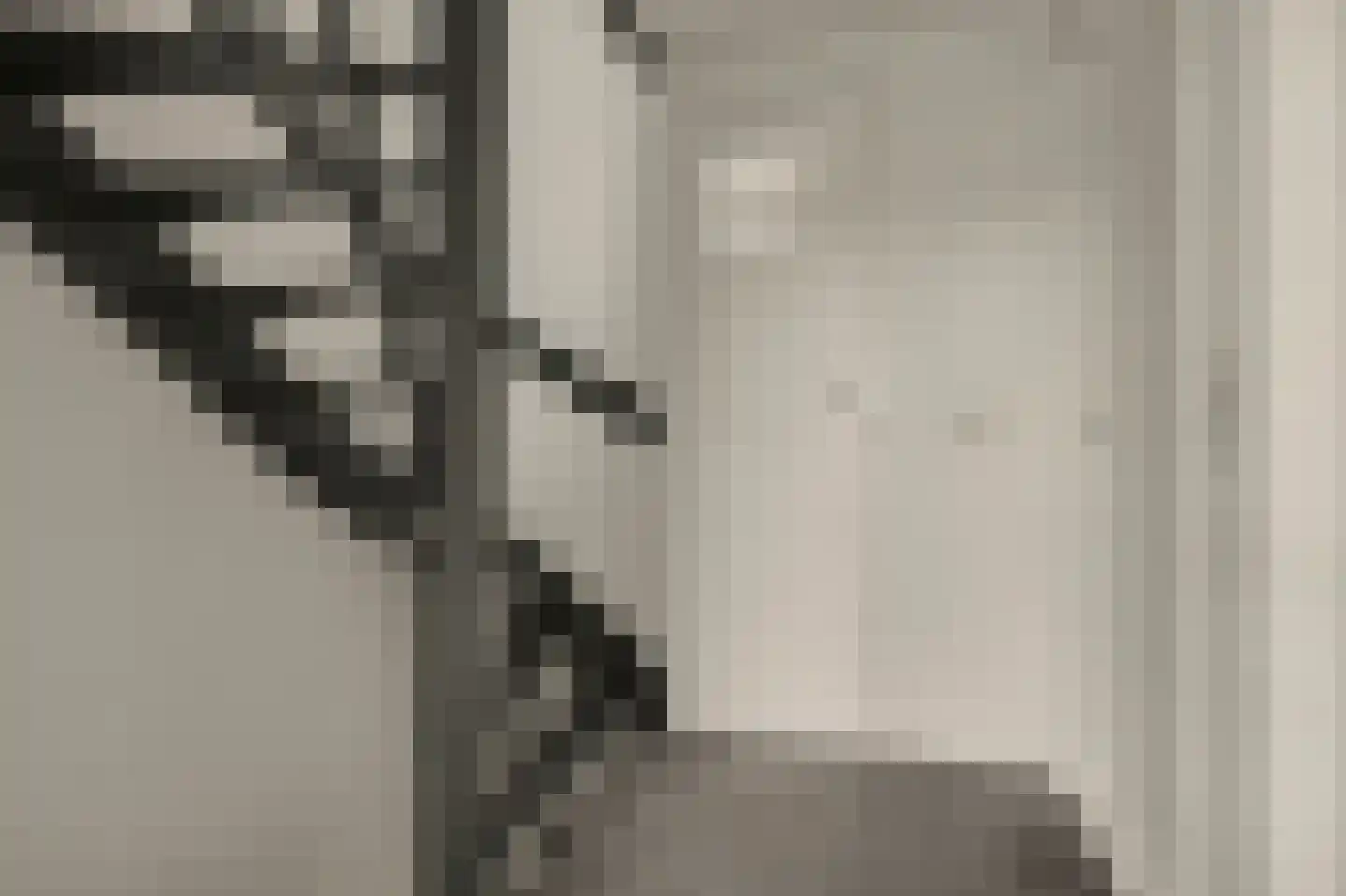 Kamperfoeliestraat 22 Drunen thumbnail 18