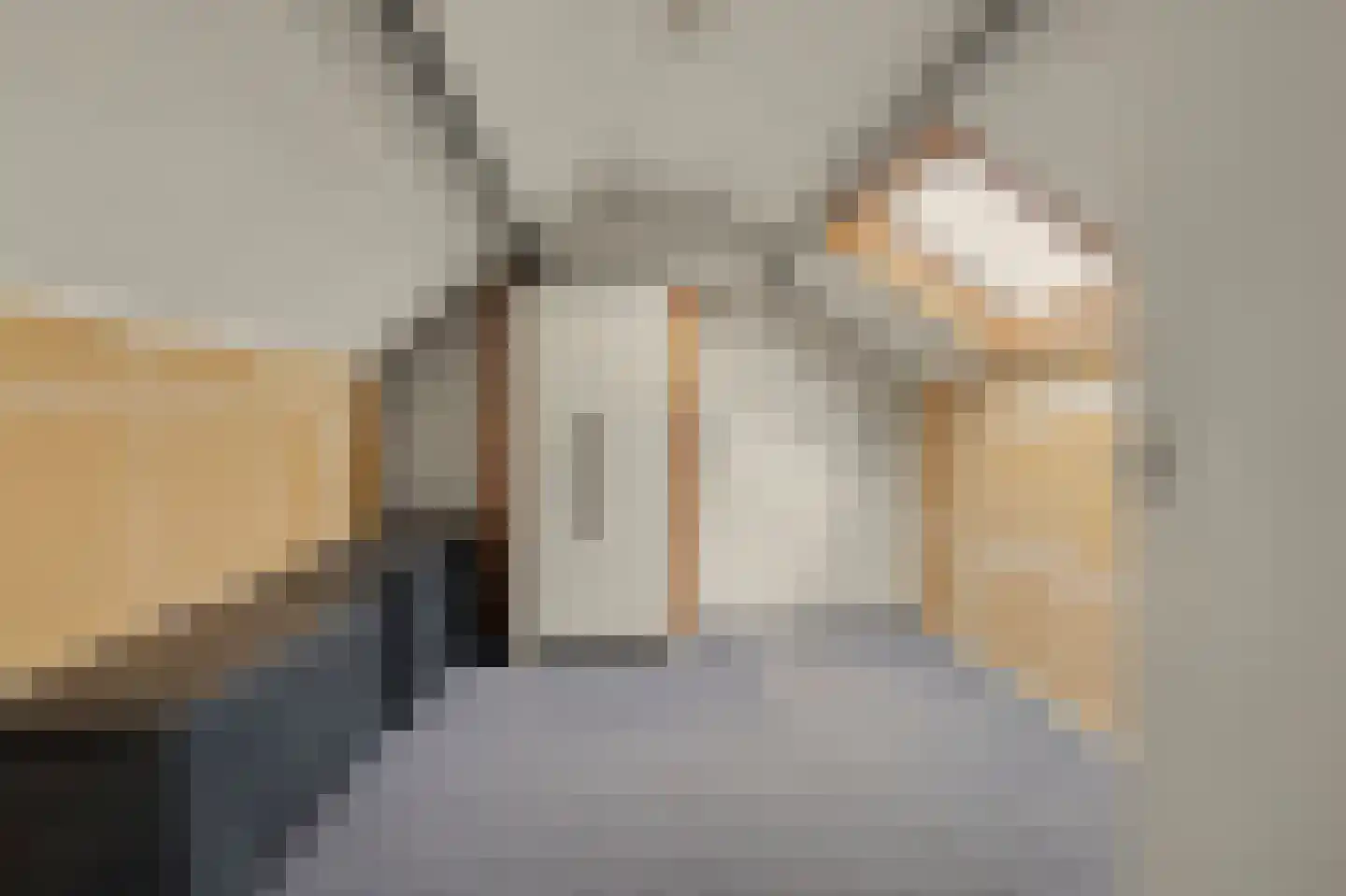 Kamperfoeliestraat 22 Drunen thumbnail 20