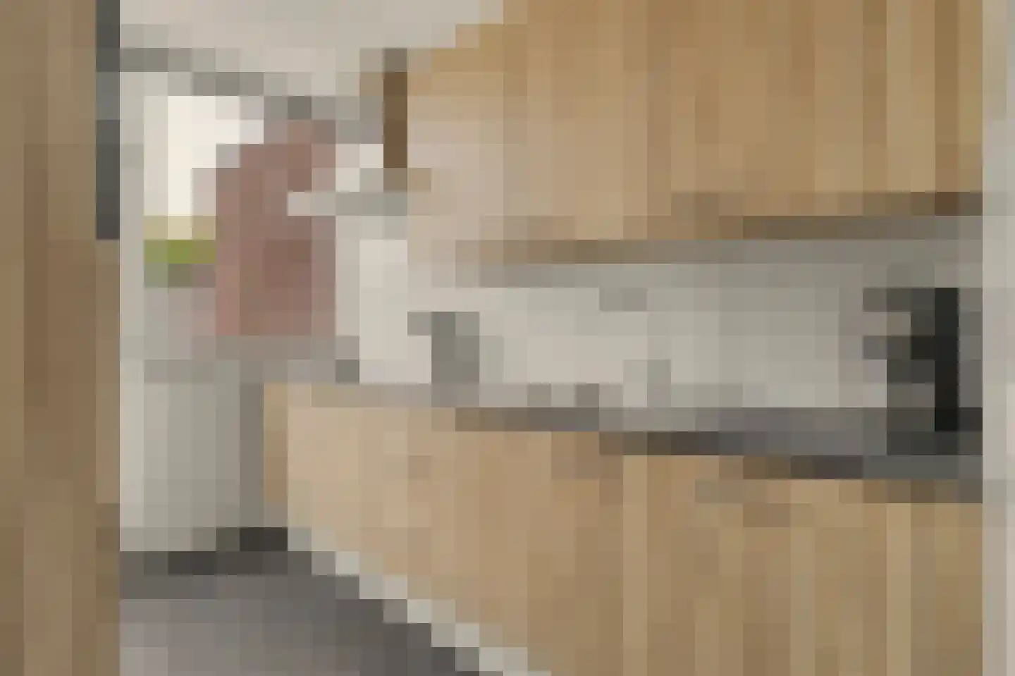Kamperfoeliestraat 22 Drunen thumbnail 7