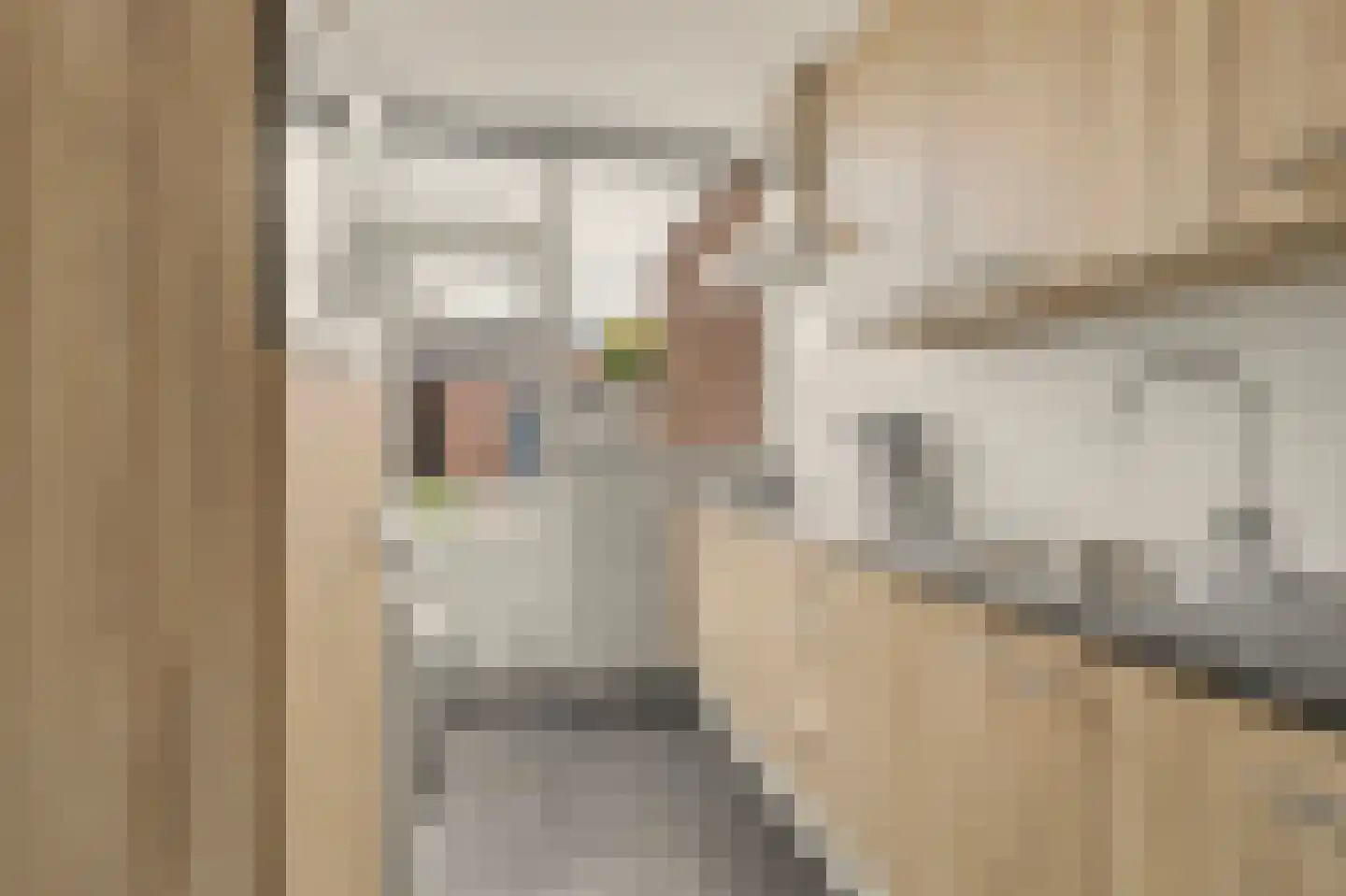 Kamperfoeliestraat 22 Drunen thumbnail 8