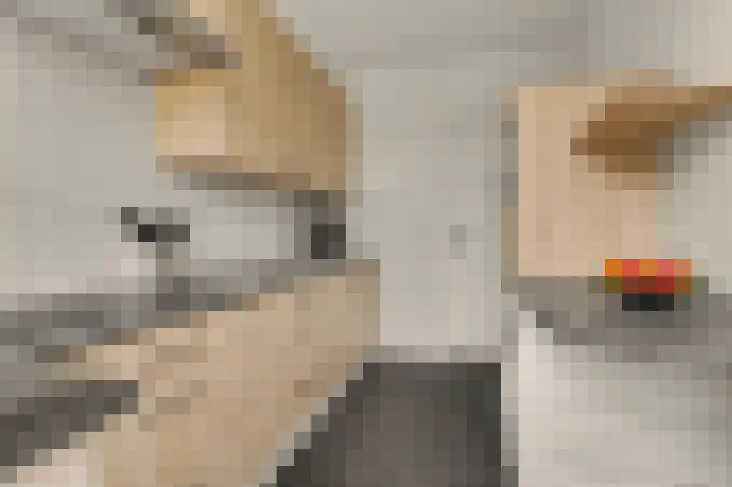 Kamperfoeliestraat 22 Drunen thumbnail 9
