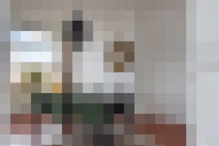 Kamperfoeliestraat 223 Den Haag thumbnail 7
