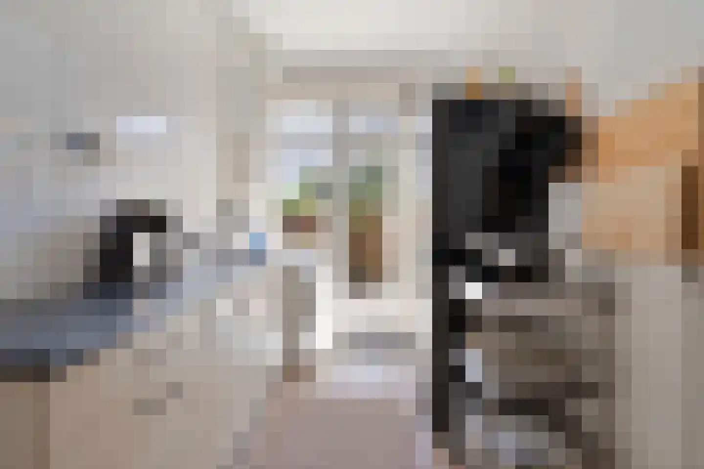 Kamperfoeliestraat 225 Den Haag thumbnail 16