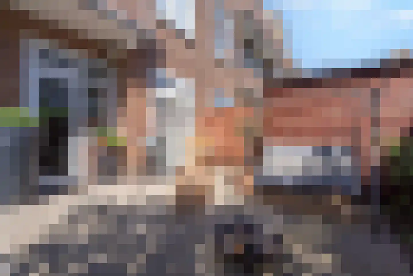 Kamperfoeliestraat 225 Den Haag thumbnail 21
