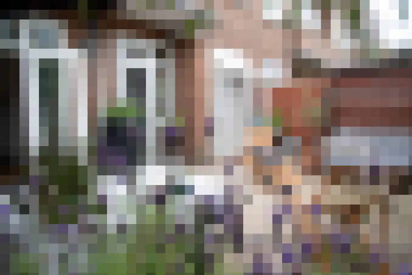 Kamperfoeliestraat 225 Den Haag thumbnail 23