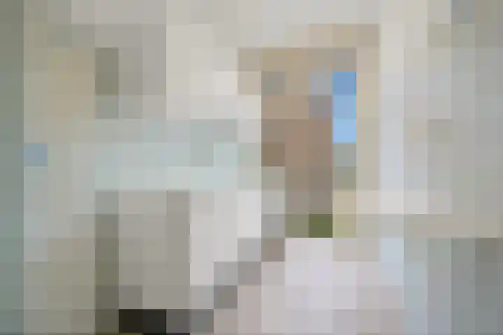 Kamperfoeliestraat 23 Den Haag thumbnail 12