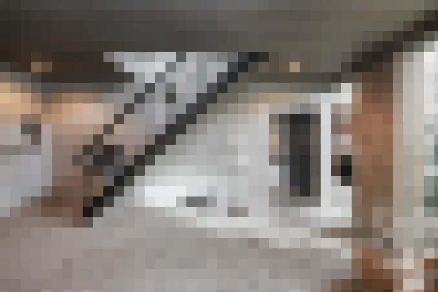 Kamperfoeliestraat 23 's-Hertogenbosch thumbnail 12