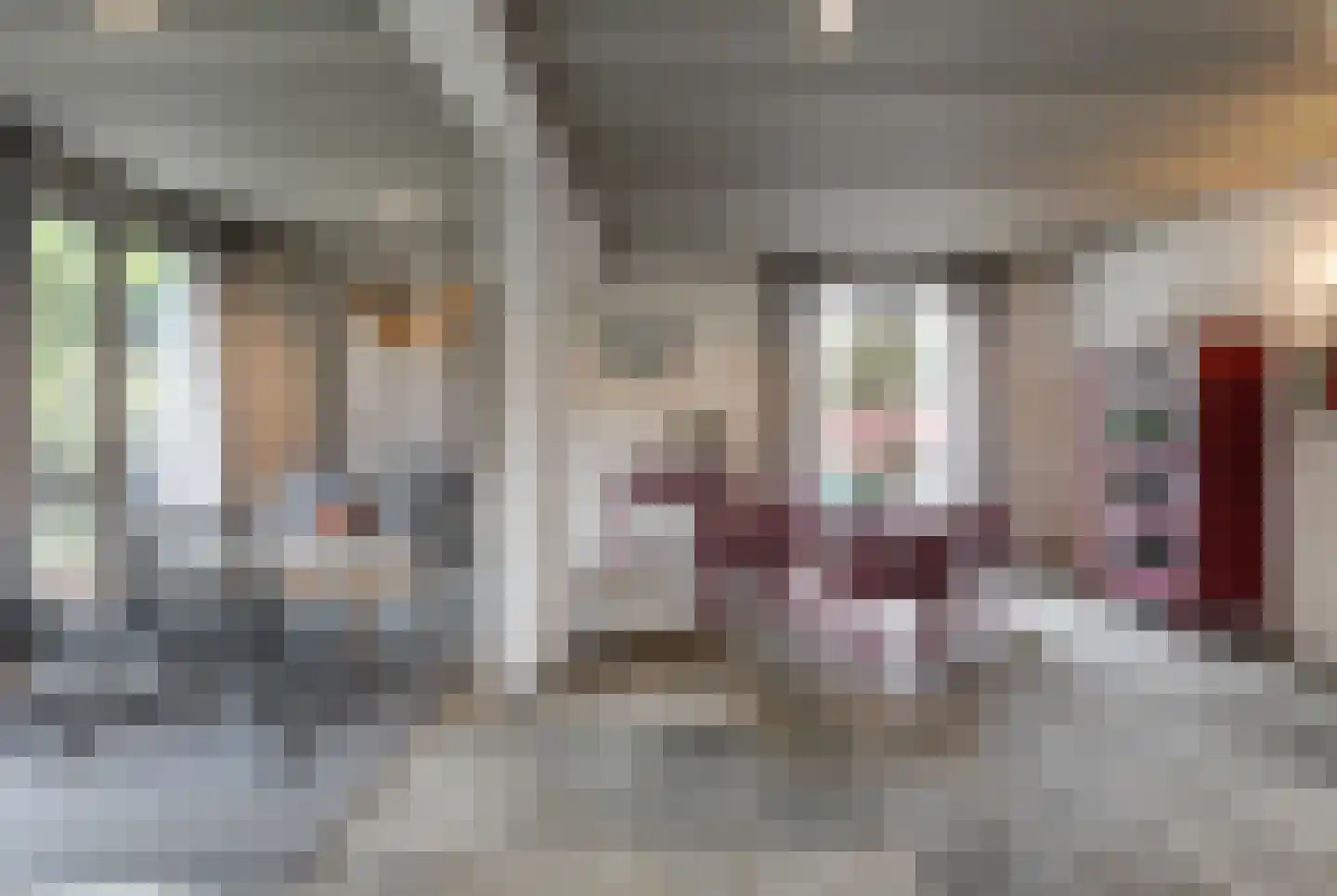 Kamperfoeliestraat 23 's-Hertogenbosch thumbnail 15