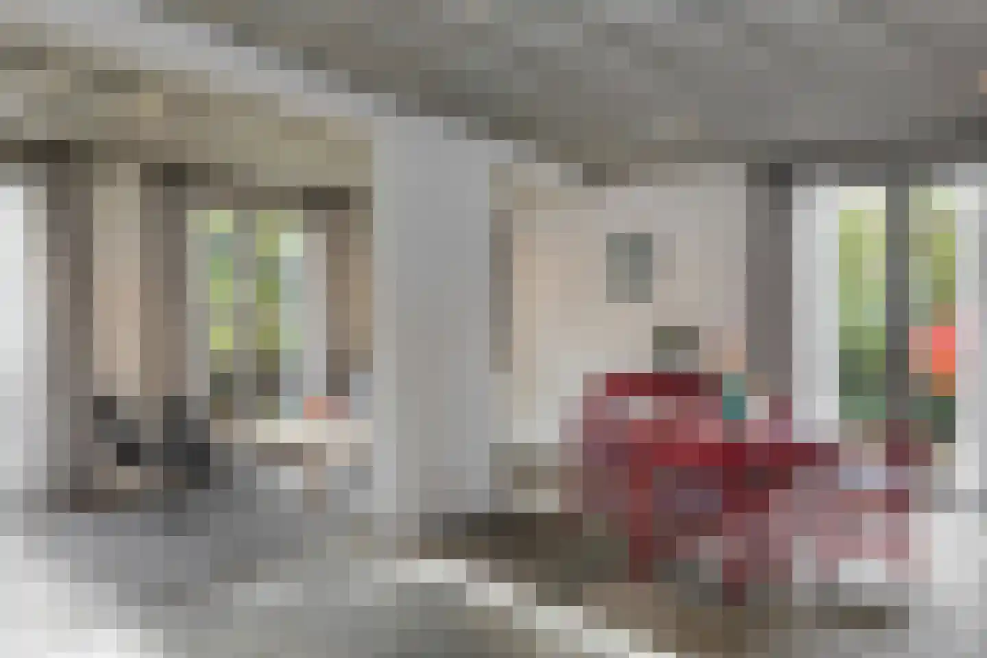 Kamperfoeliestraat 23 's-Hertogenbosch thumbnail 16
