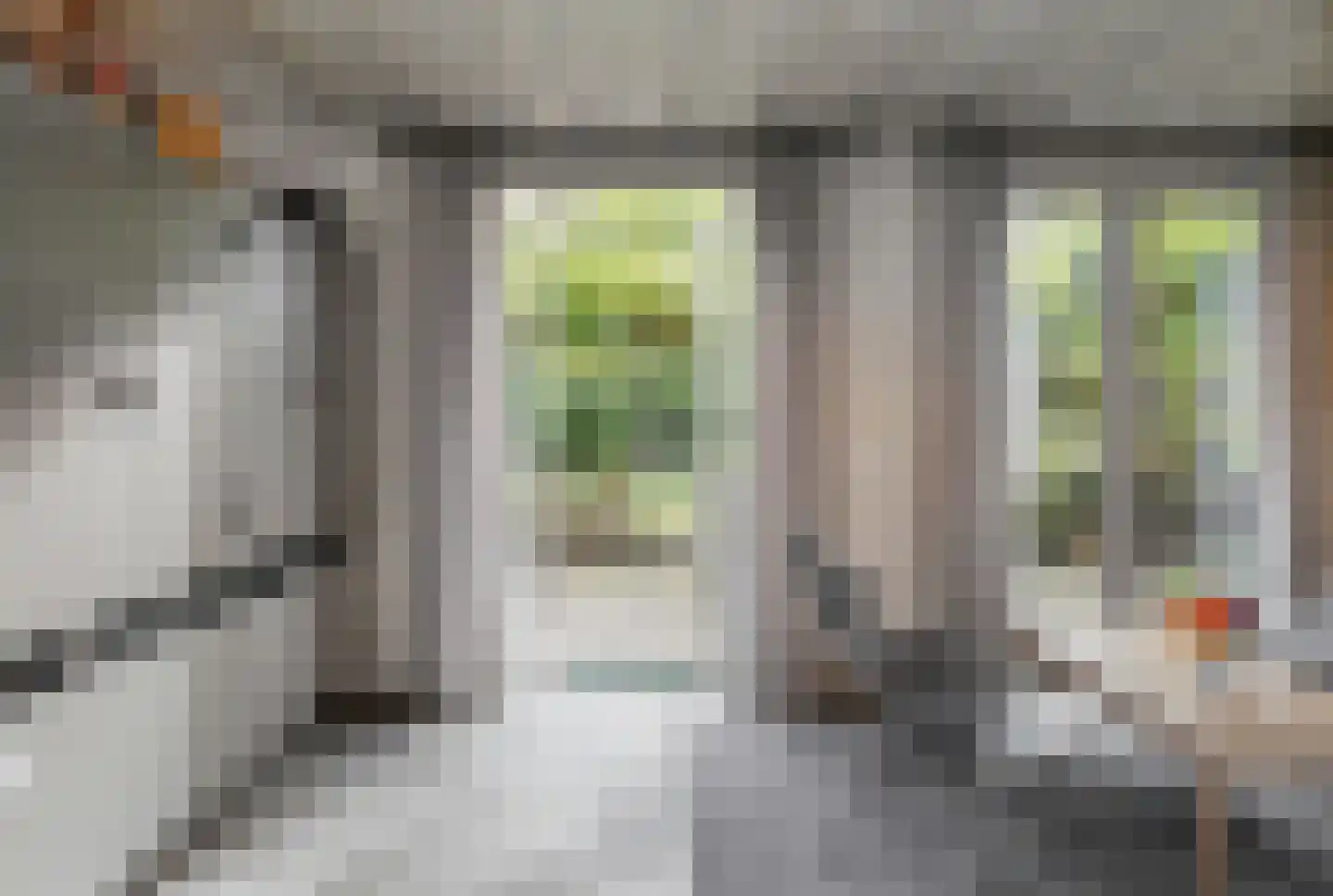 Kamperfoeliestraat 23 's-Hertogenbosch thumbnail 17