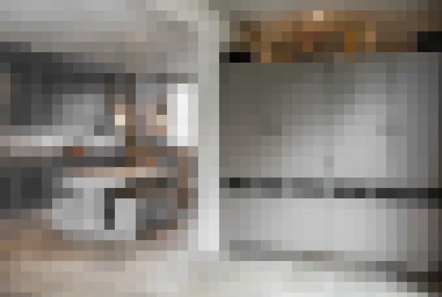 Kamperfoeliestraat 23 's-Hertogenbosch thumbnail 20
