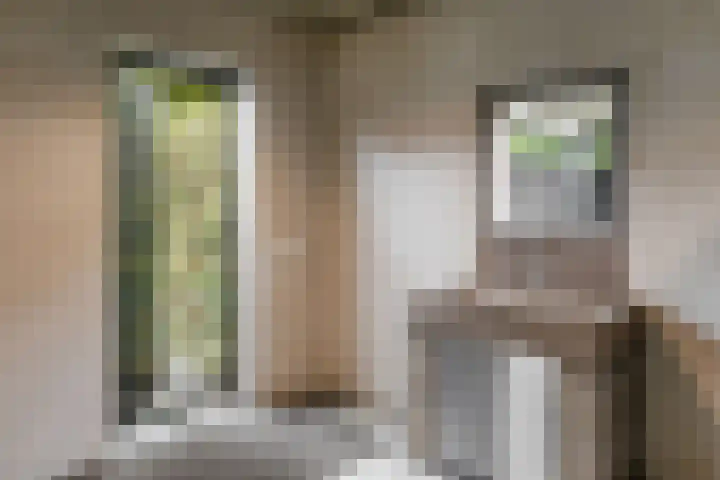 Kamperfoeliestraat 23 's-Hertogenbosch thumbnail 24