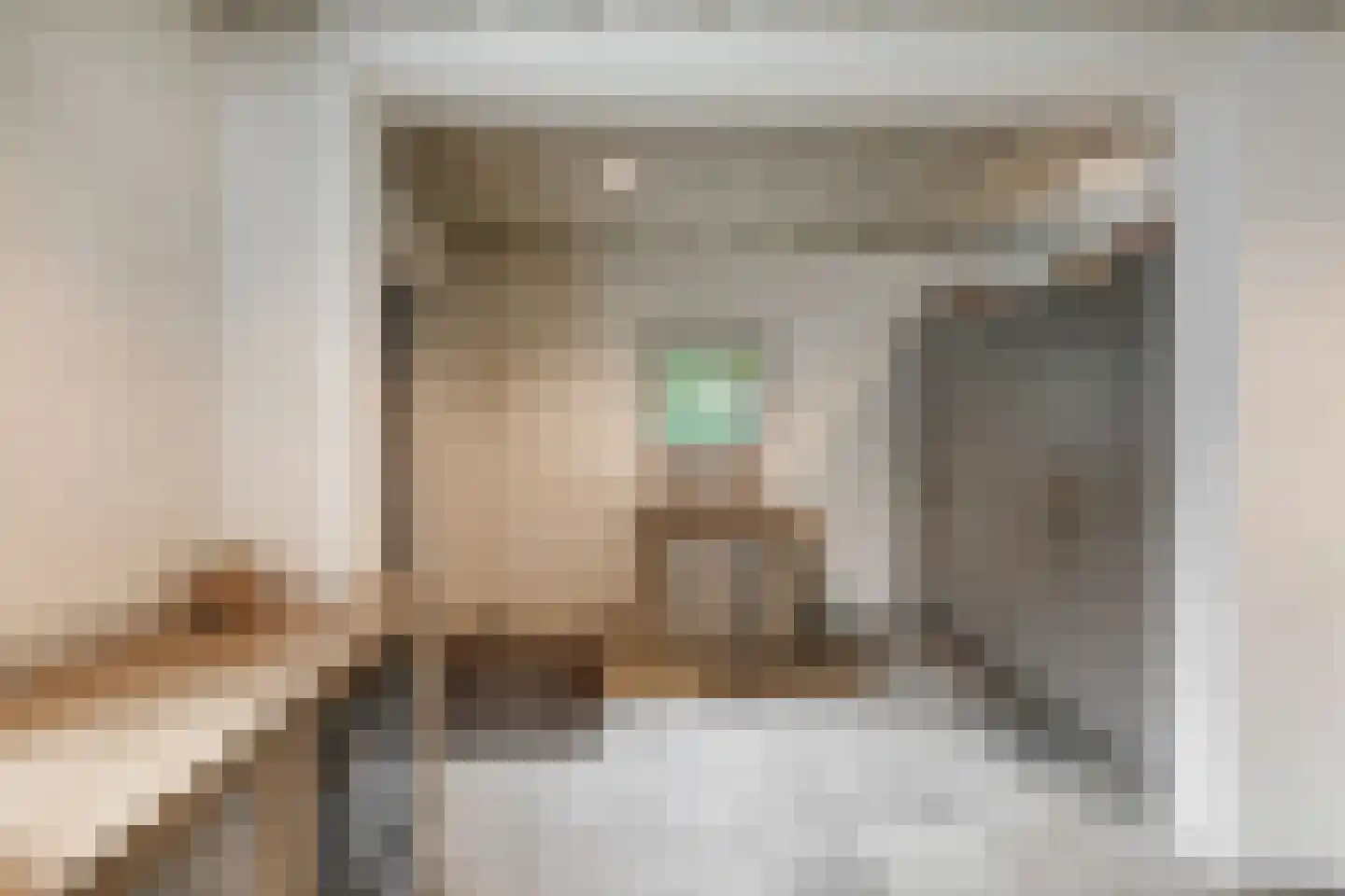 Kamperfoeliestraat 23 's-Hertogenbosch thumbnail 25