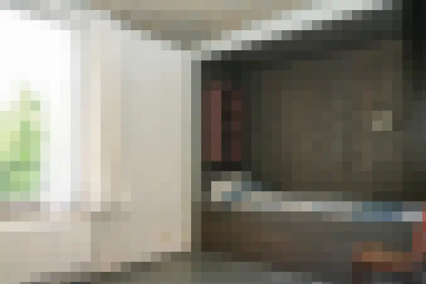 Kamperfoeliestraat 23 's-Hertogenbosch thumbnail 37