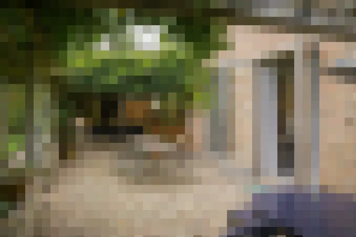Kamperfoeliestraat 23 's-Hertogenbosch thumbnail 48
