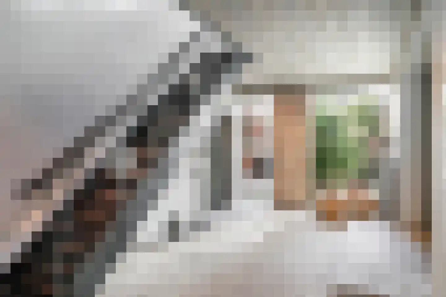 Kamperfoeliestraat 23 's-Hertogenbosch thumbnail 5