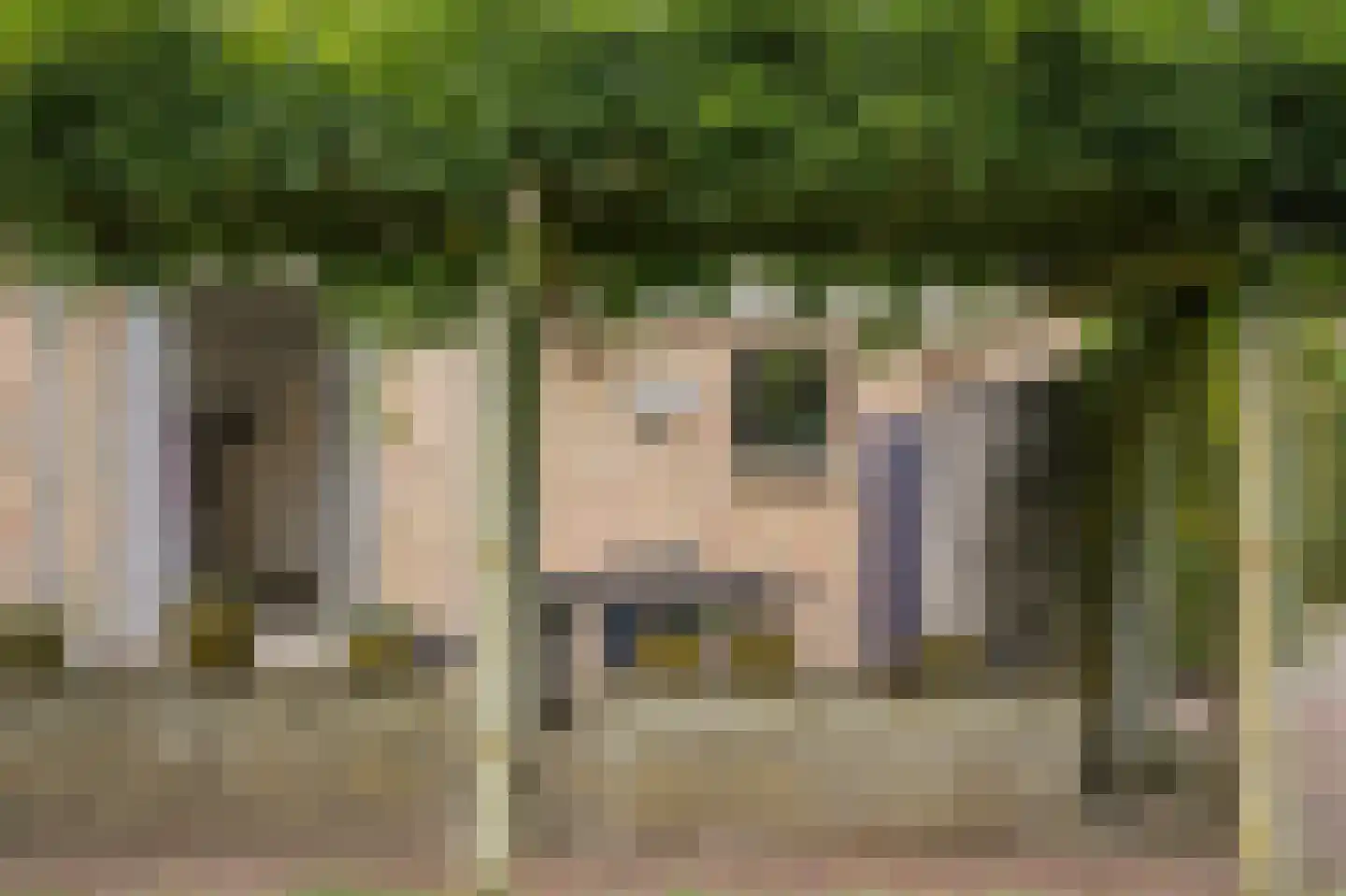 Kamperfoeliestraat 23 's-Hertogenbosch thumbnail 51