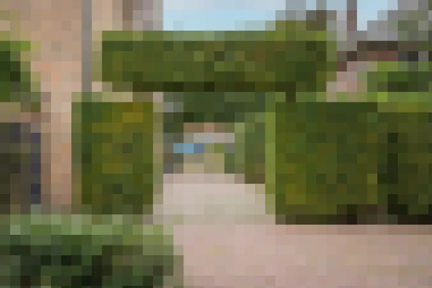 Kamperfoeliestraat 23 's-Hertogenbosch thumbnail 54