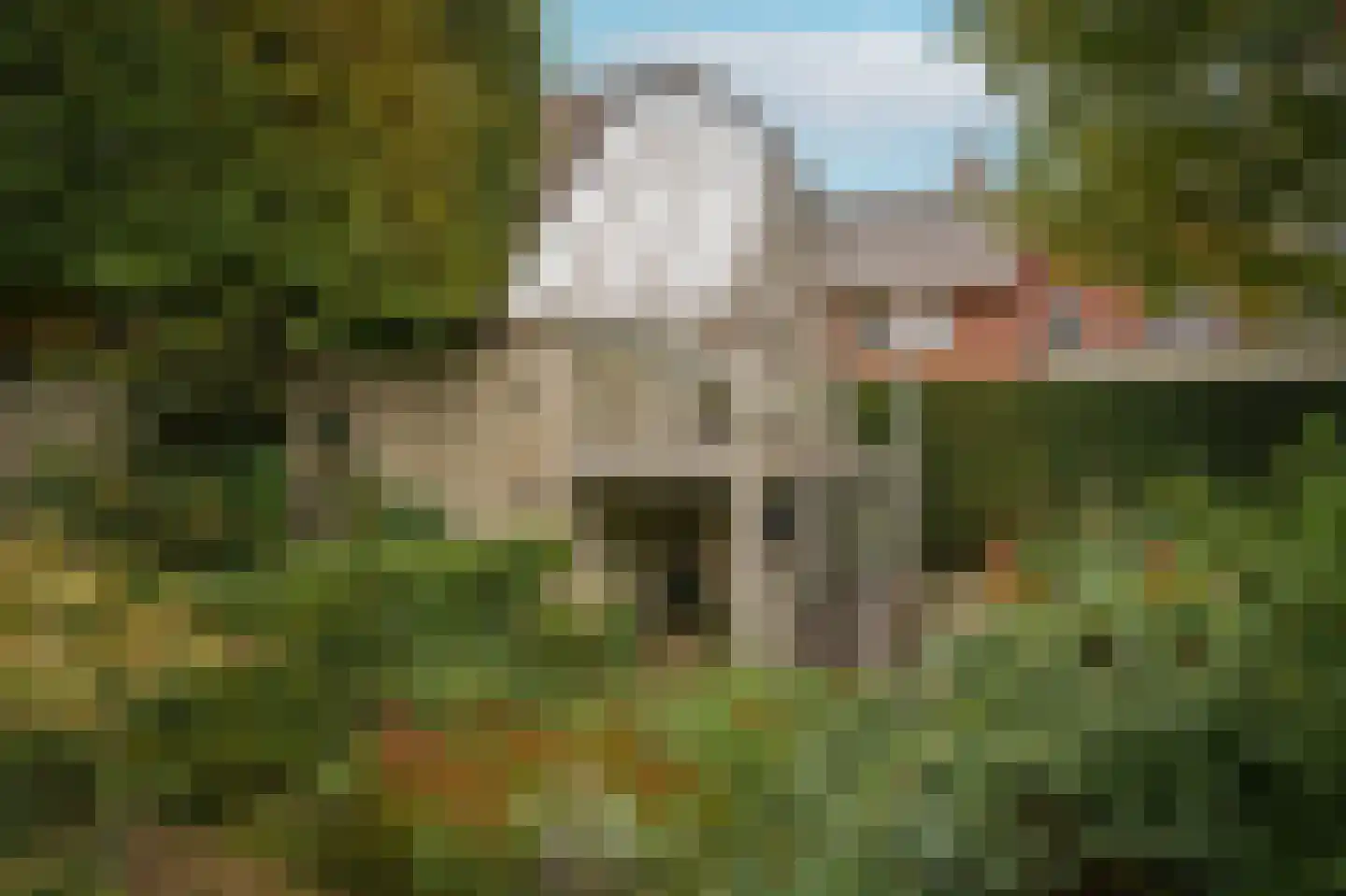 Kamperfoeliestraat 23 's-Hertogenbosch thumbnail 58