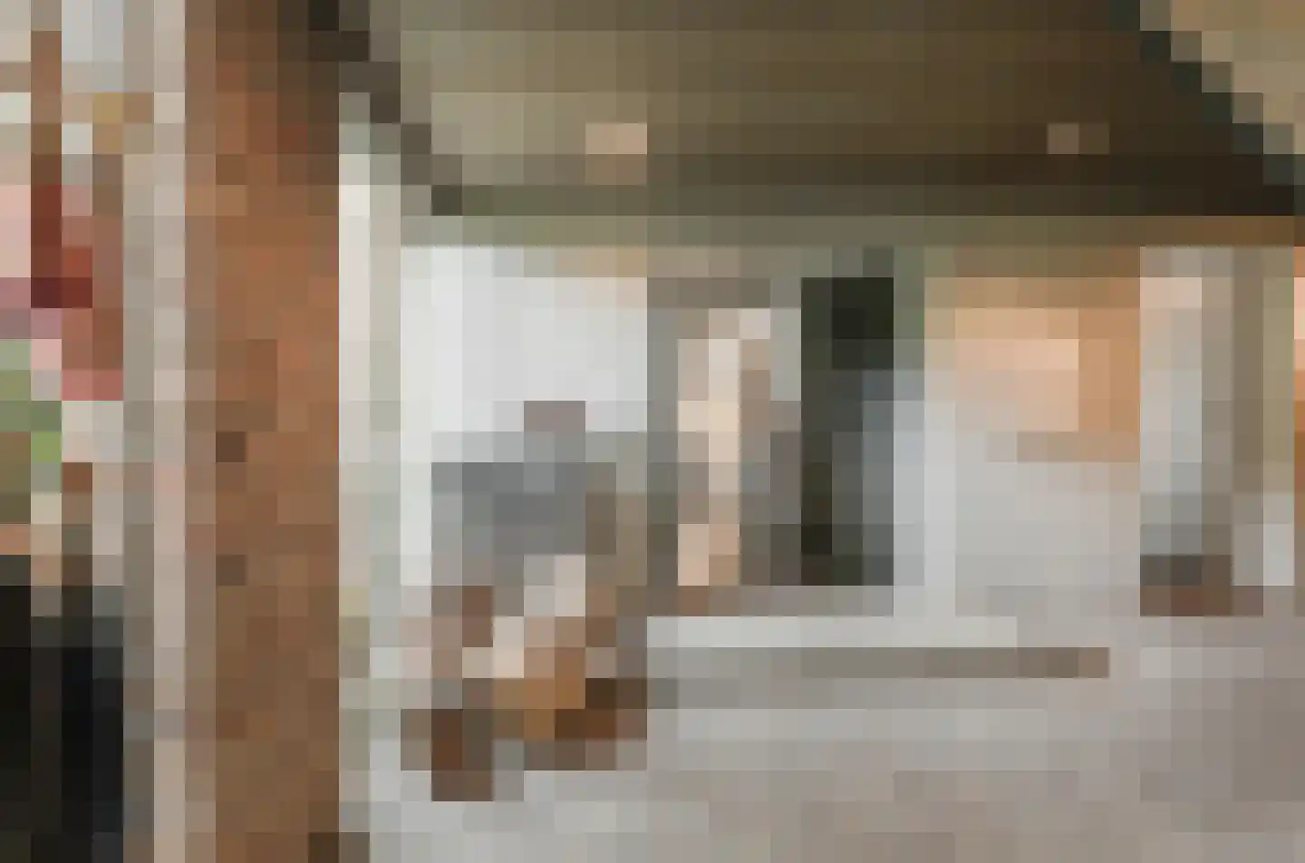 Kamperfoeliestraat 23 's-Hertogenbosch thumbnail 6