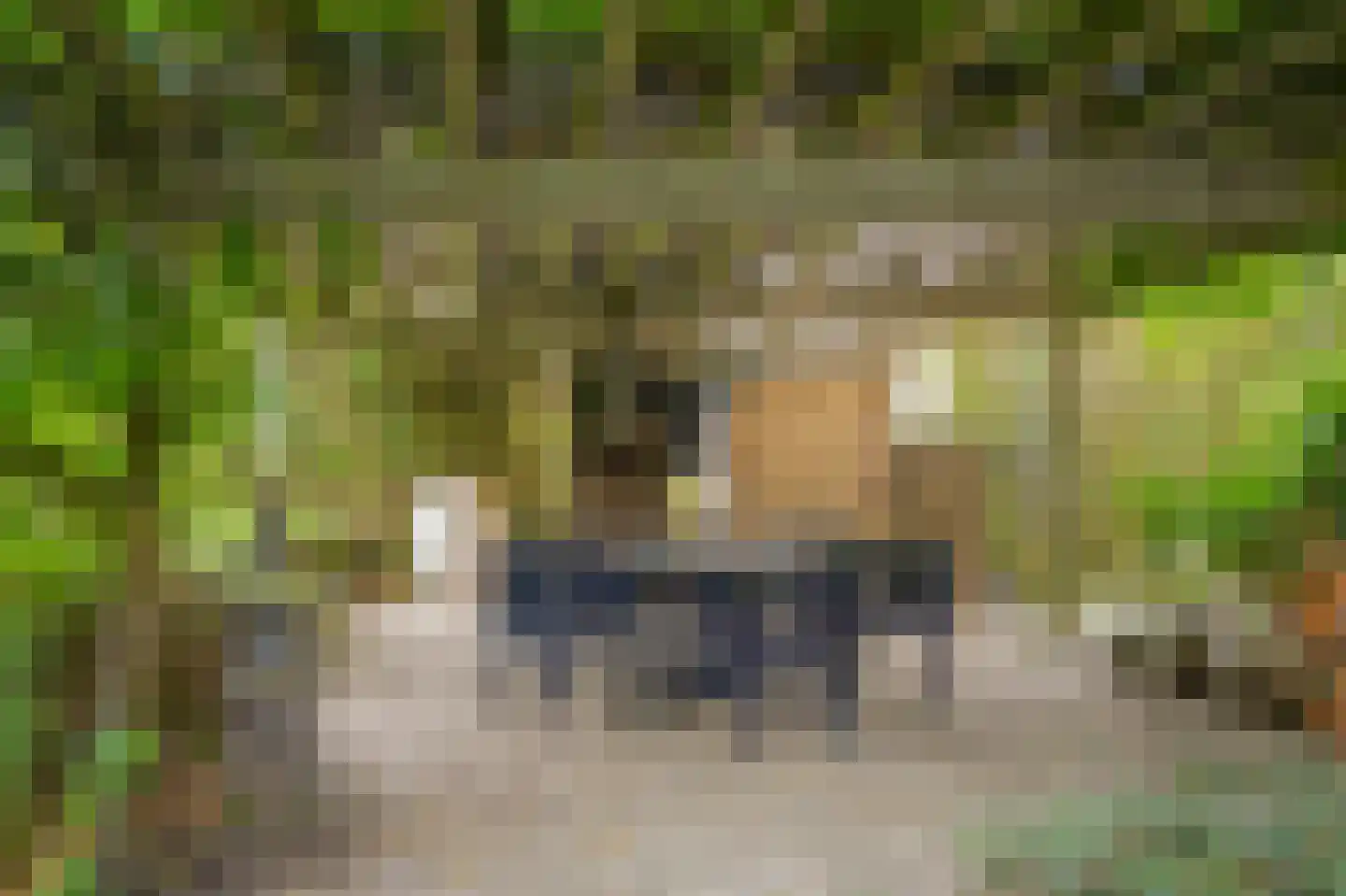 Kamperfoeliestraat 23 's-Hertogenbosch thumbnail 62