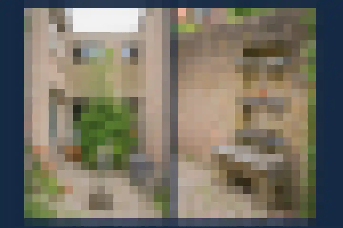 Kamperfoeliestraat 23 's-Hertogenbosch thumbnail 64