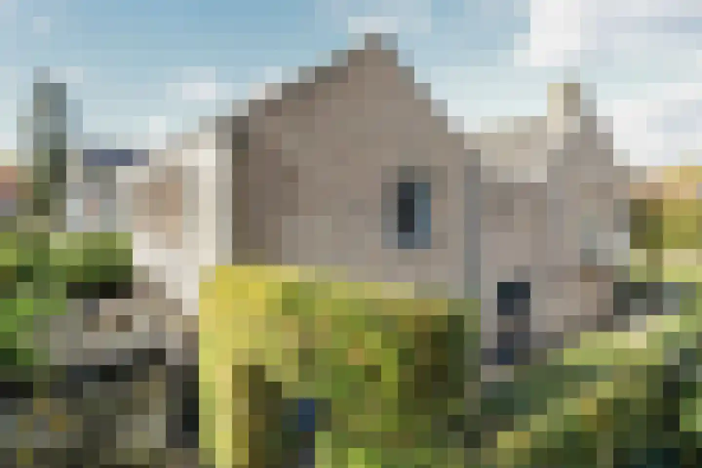 Kamperfoeliestraat 23 's-Hertogenbosch thumbnail 69