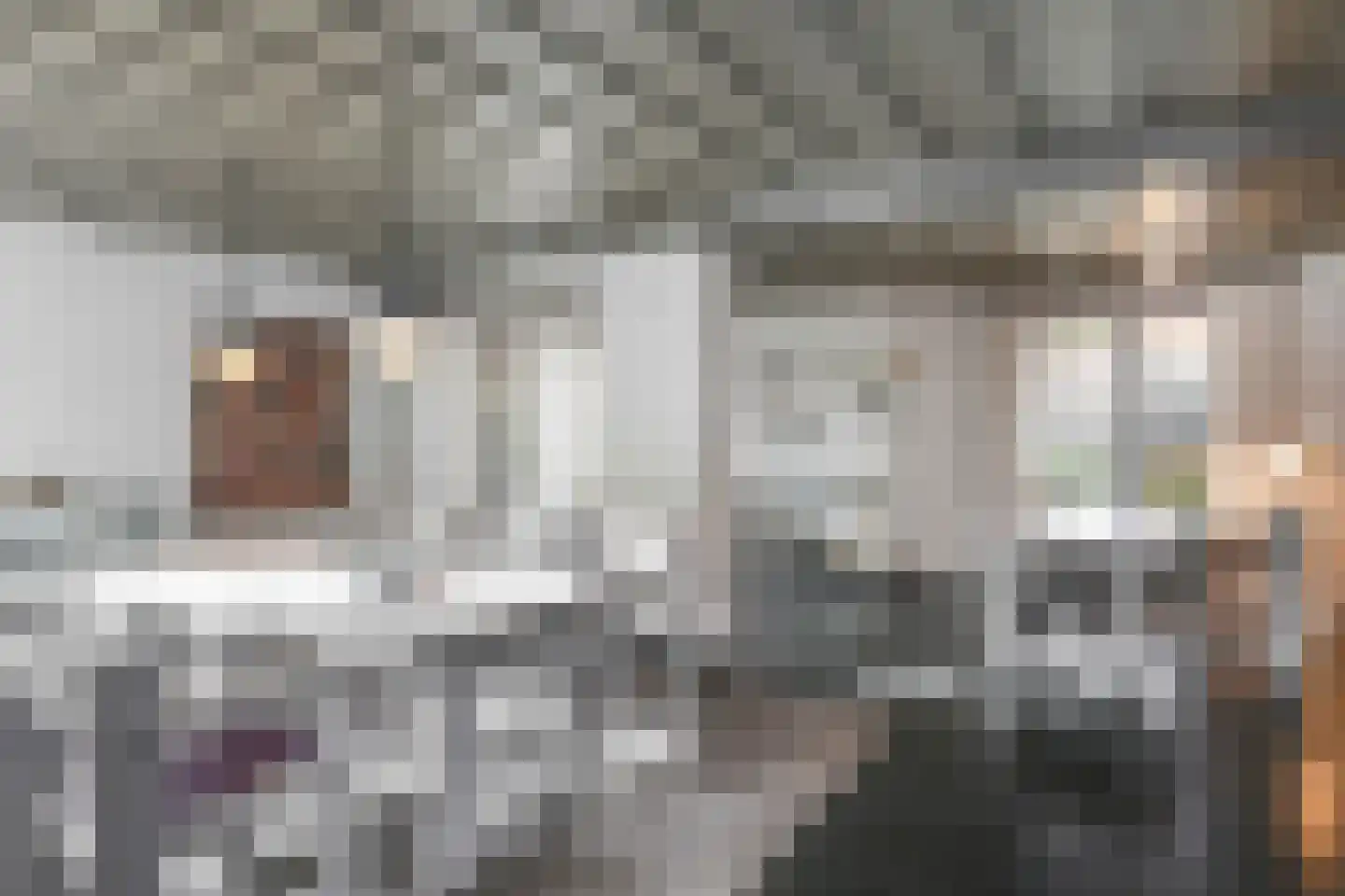 Kamperfoeliestraat 23 's-Hertogenbosch thumbnail 7