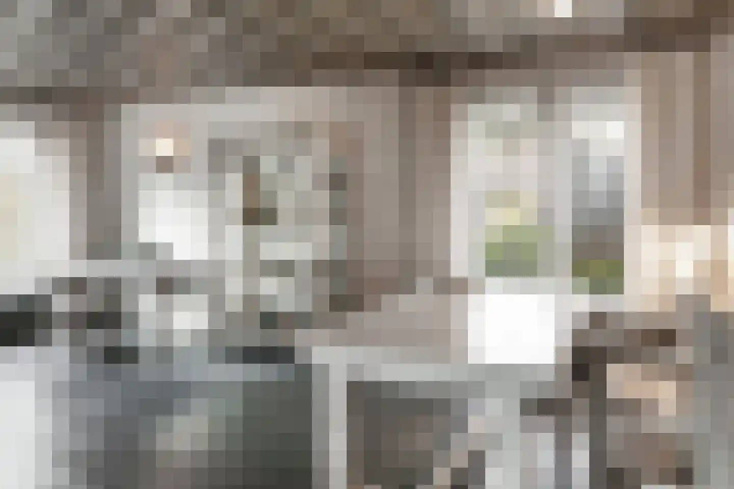 Kamperfoeliestraat 23 's-Hertogenbosch thumbnail 8