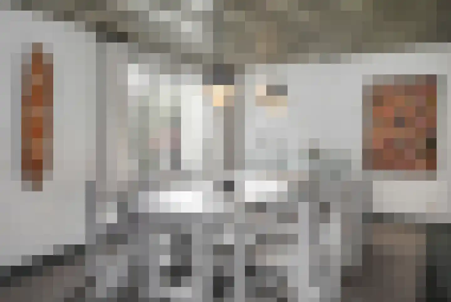 Kamperfoeliestraat 23 's-Hertogenbosch thumbnail 9