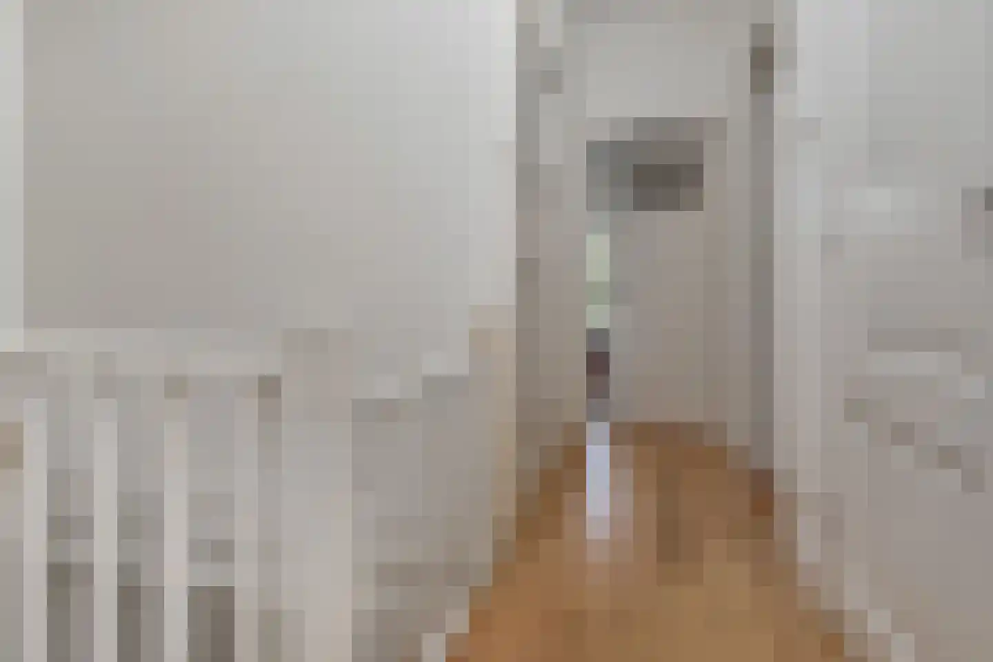 Kamperfoeliestraat 27 Den Haag thumbnail 6