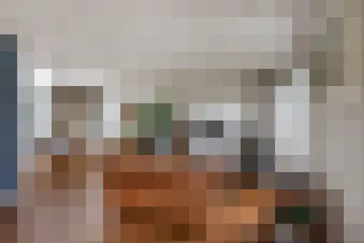 Kamperfoeliestraat 28 Sint-Michielsgestel thumbnail 12