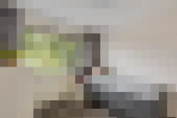 Kamperfoeliestraat 29 Borne thumbnail 11