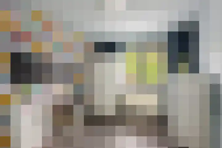 Kamperfoeliestraat 29 Borne thumbnail 12
