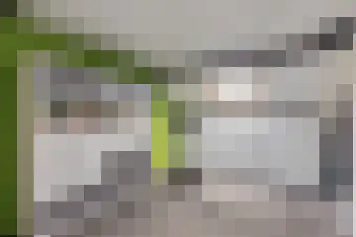 Kamperfoeliestraat 29 Borne thumbnail 13