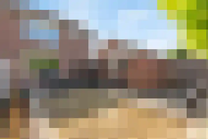 Kamperfoeliestraat 29 Borne thumbnail 14