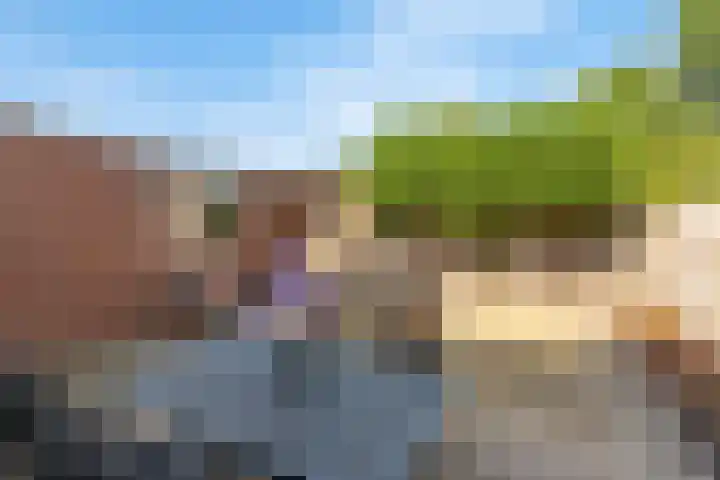Kamperfoeliestraat 29 Borne thumbnail 15