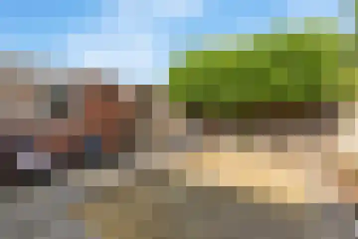 Kamperfoeliestraat 29 Borne thumbnail 16