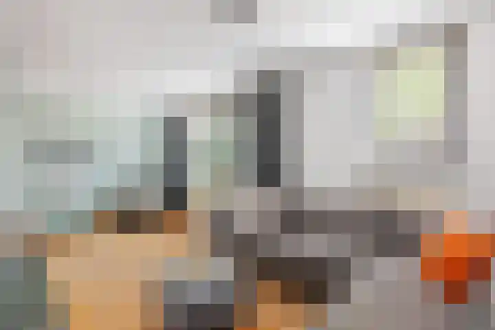 Kamperfoeliestraat 29 Borne thumbnail 4