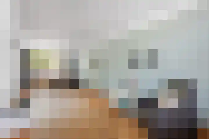 Kamperfoeliestraat 29 Borne thumbnail 5