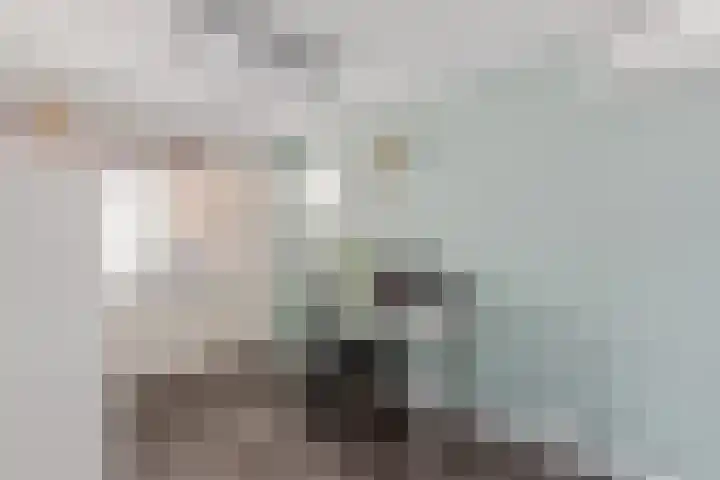 Kamperfoeliestraat 29 Borne thumbnail 8