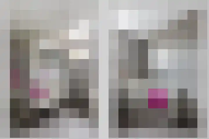 Kamperfoeliestraat 29 Borne thumbnail 9