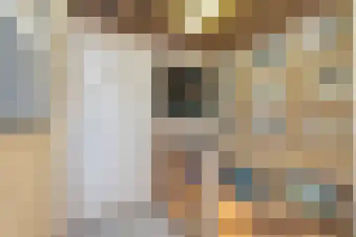 Kamperfoeliestraat 3 Landsmeer thumbnail 11