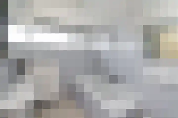 Kamperfoeliestraat 3 Landsmeer thumbnail 17