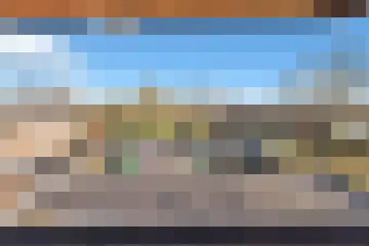 Kamperfoeliestraat 3 Landsmeer thumbnail 20