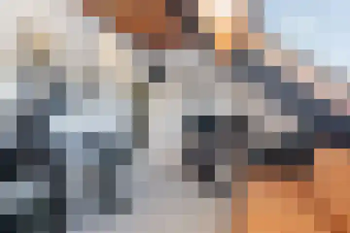Kamperfoeliestraat 3 Landsmeer thumbnail 22
