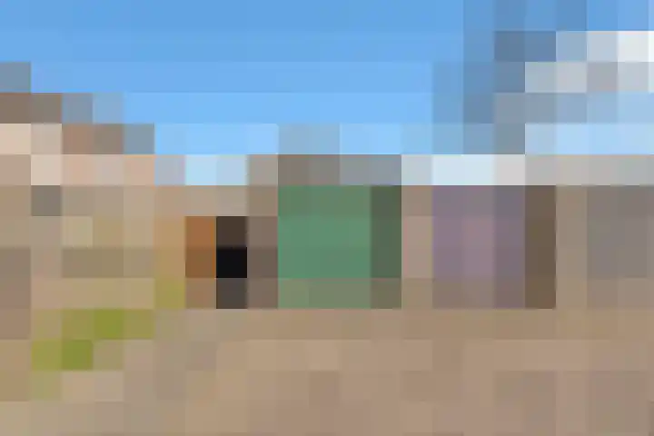 Kamperfoeliestraat 3 Landsmeer thumbnail 23